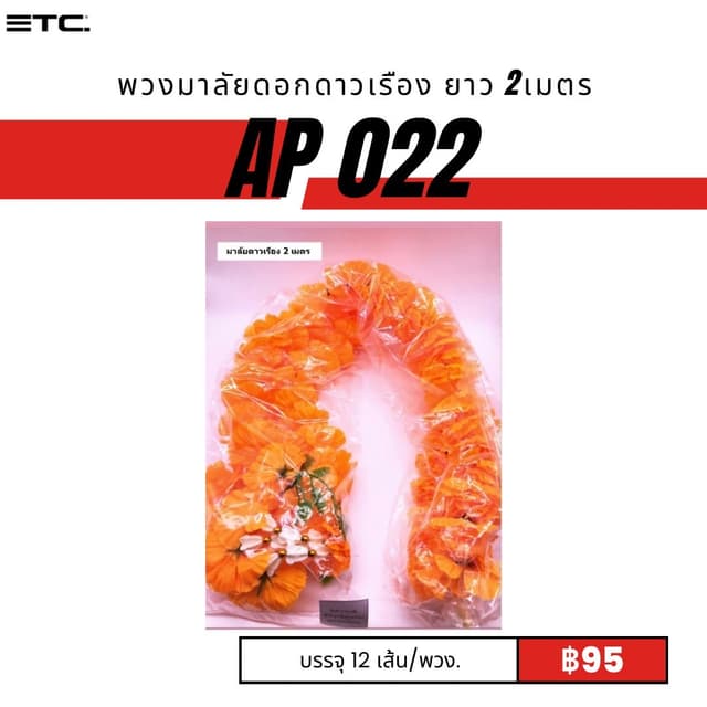 AP022.jpg