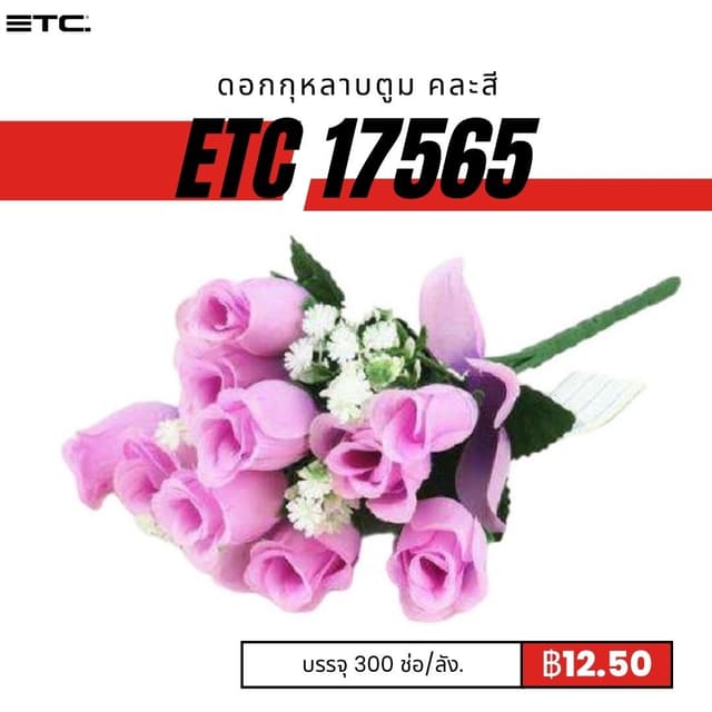 ETC17565.jpg