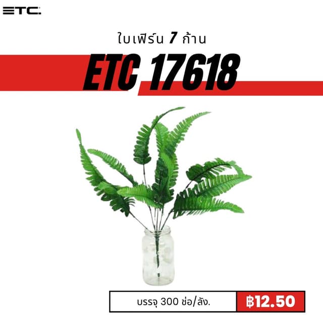 ETC17618.jpg