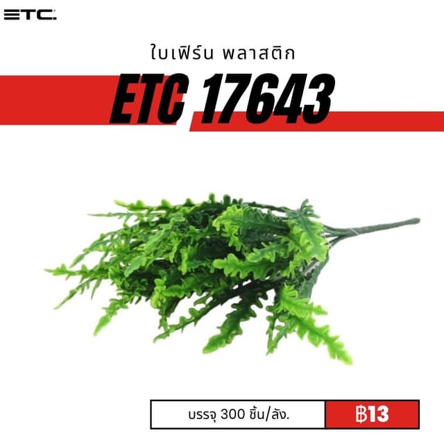 ETC17643.jpg
