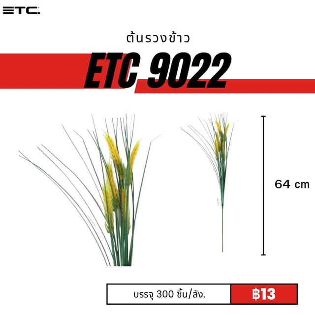 ETC9022.jpg