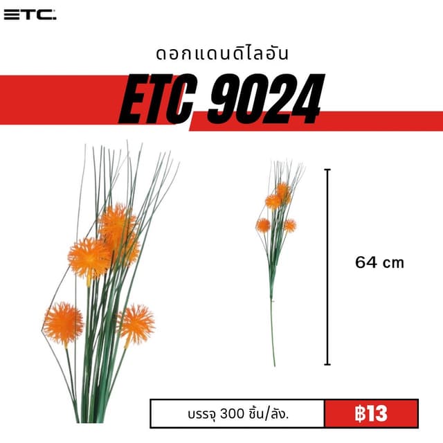 ETC9024.jpg