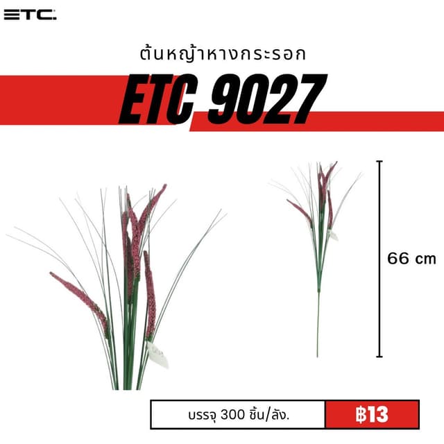 ETC9027.jpg