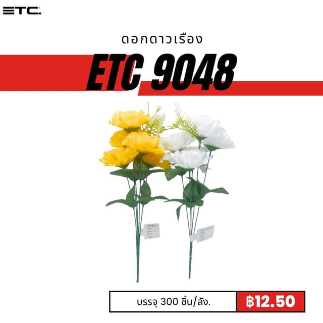 ETC9048.jpg
