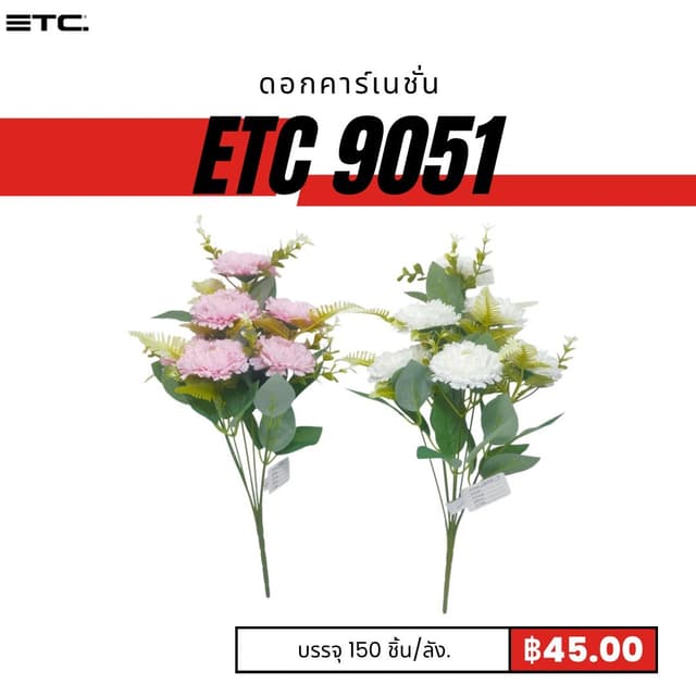 ETC9051.jpg