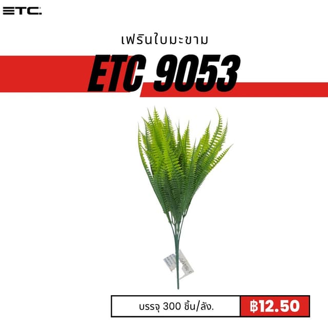 ETC9053.jpg