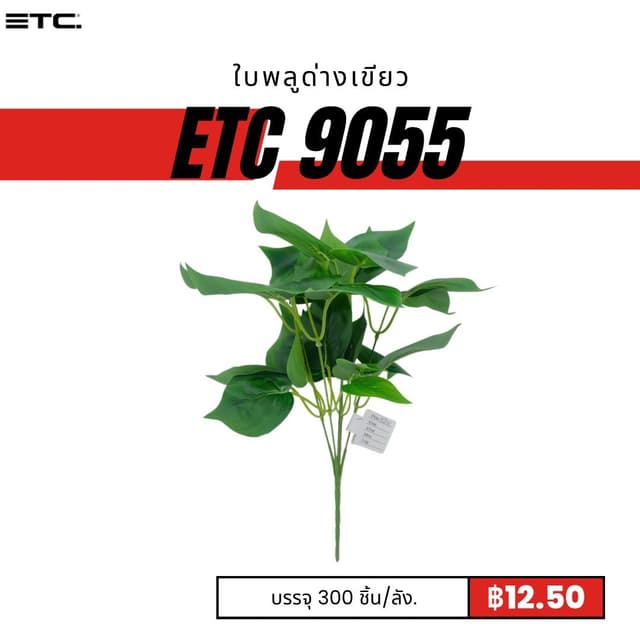 ETC9055.jpg