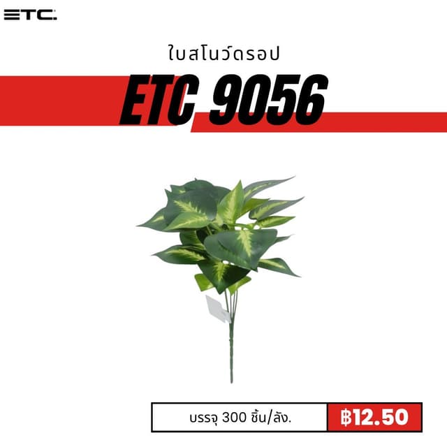 ETC9056.jpg