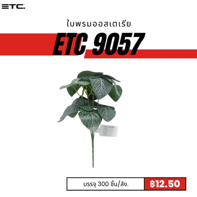 ETC9057.jpg