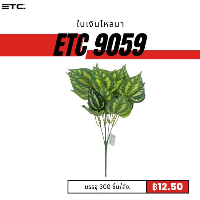 ETC9059.jpg