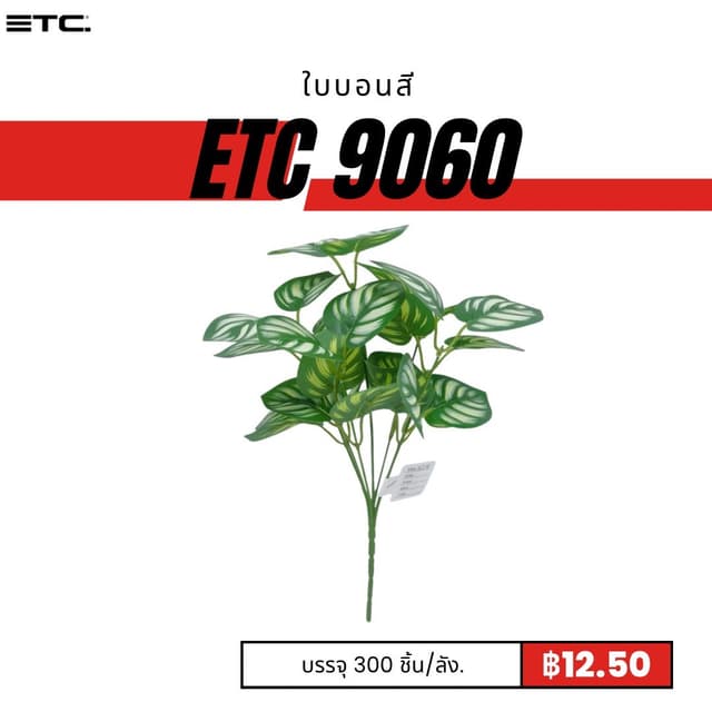 ETC9060.jpg