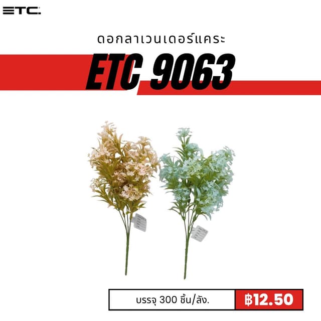 ETC9063.jpg