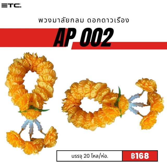ap002.jpg