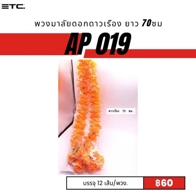 ap019.jpg