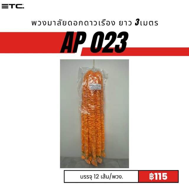 ap023.jpg