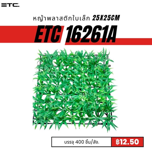 etc16261A.jpg