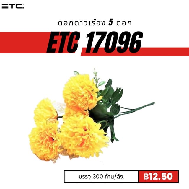etc17096.jpg
