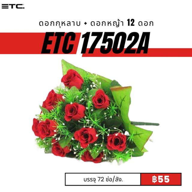 etc17502A.jpg