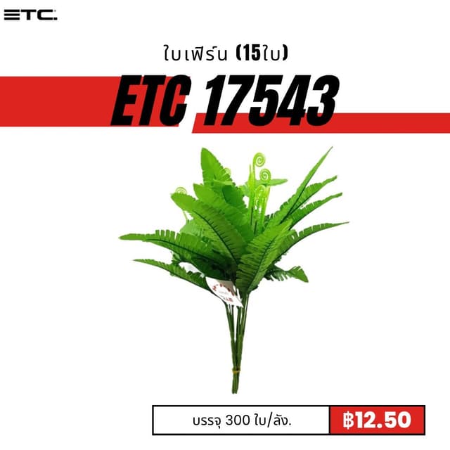 etc17543.jpg
