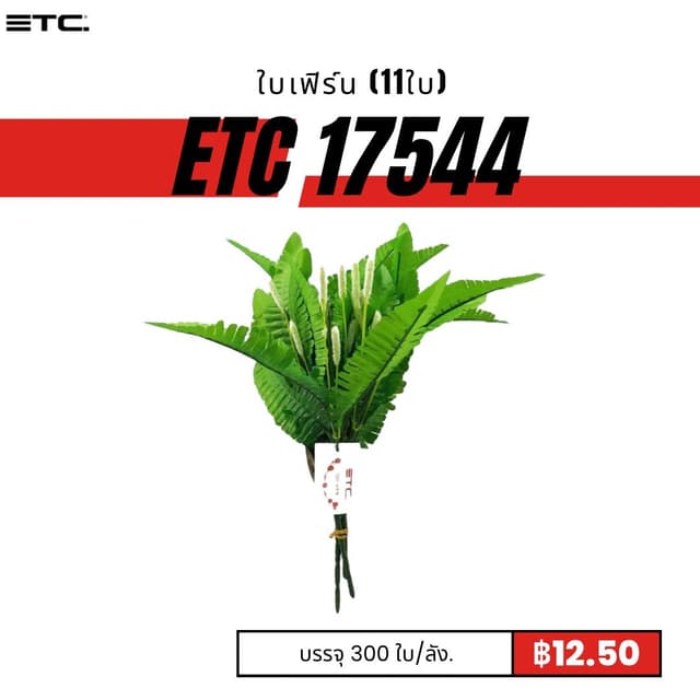 etc17544.jpg