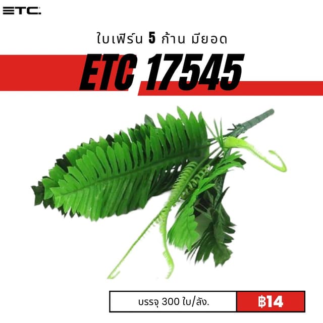 etc17545.jpg
