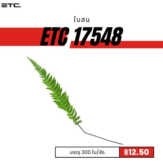 etc17548.jpg