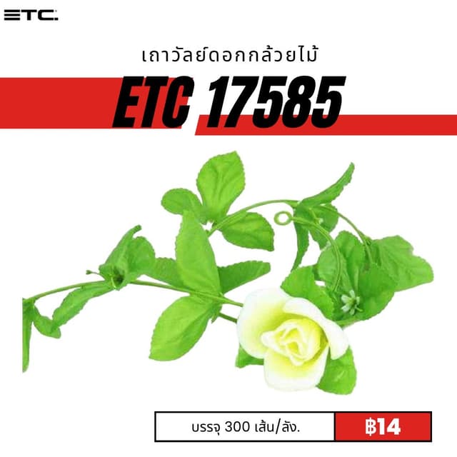 etc17585.jpg