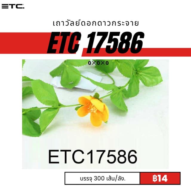 etc17586.jpg