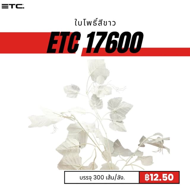etc17600.jpg