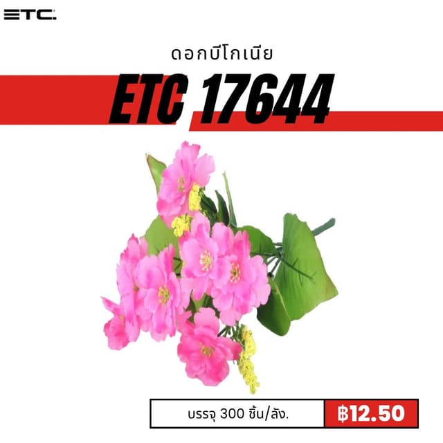 etc17644.jpg