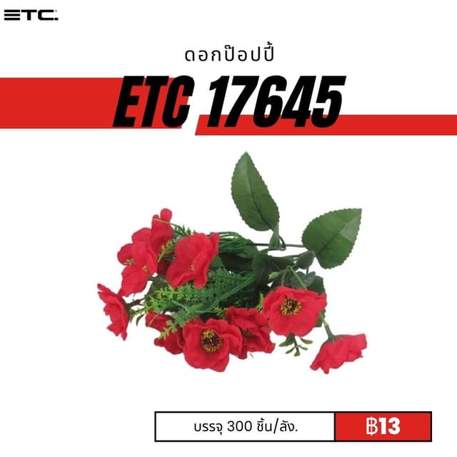 etc17645.jpg