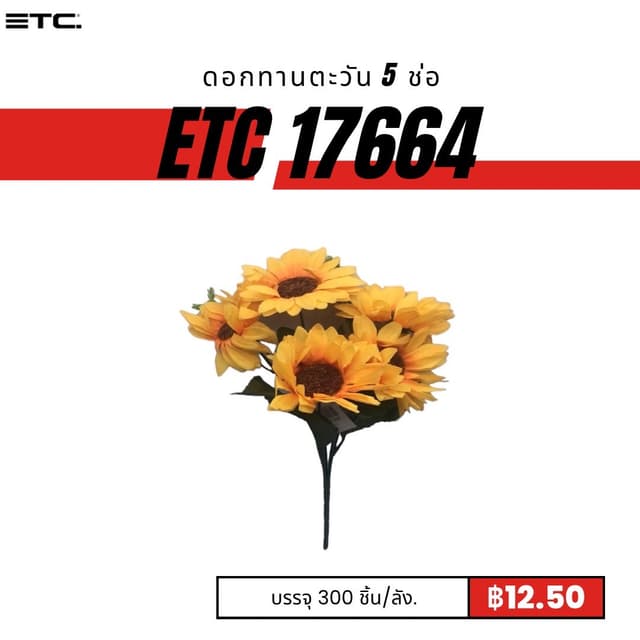 etc17664.jpg