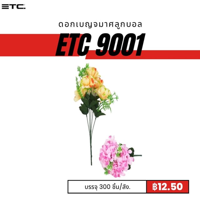 etc9001.jpg