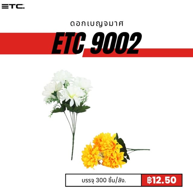 etc9002.jpg