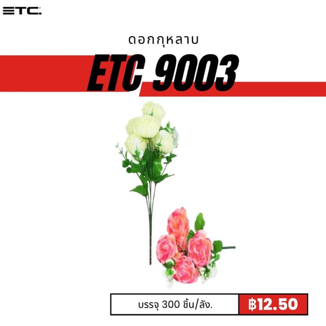 etc9003.jpg