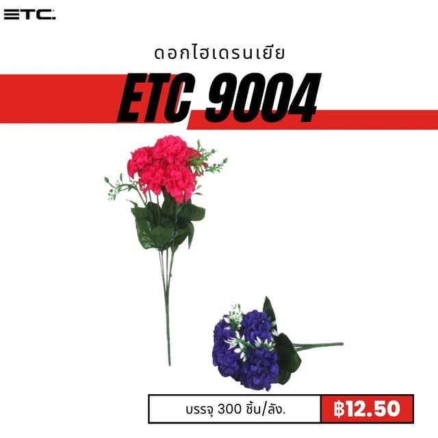 etc9004.jpg
