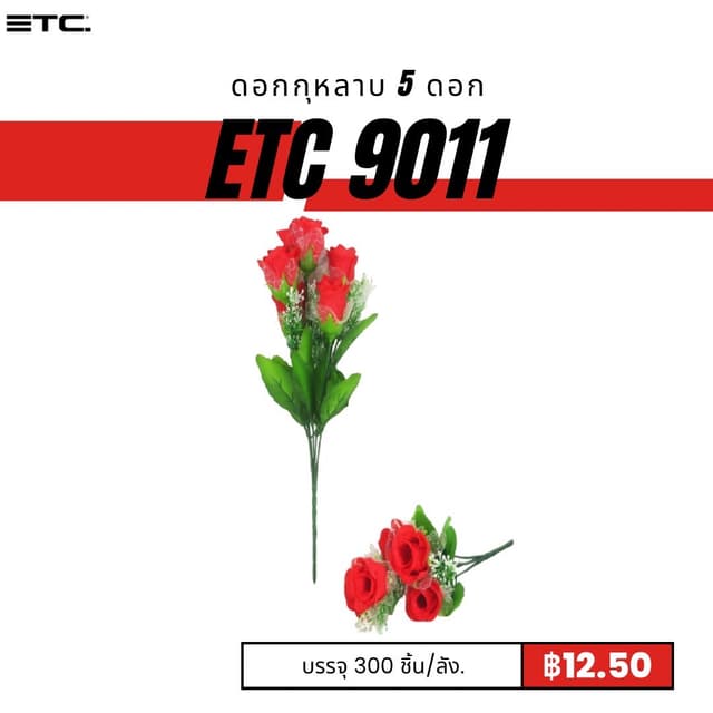 etc9011.jpg