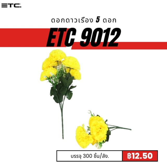 etc9012.jpg