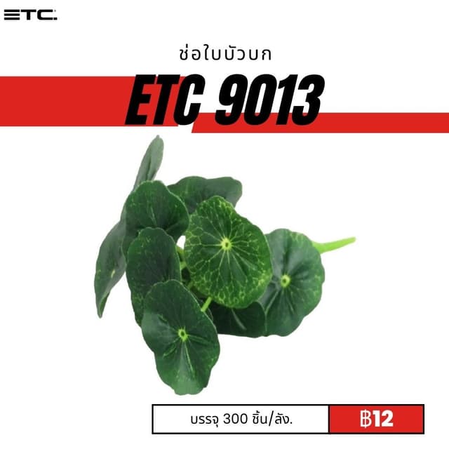 etc9013.jpg