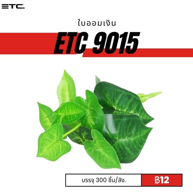 etc9015.jpg