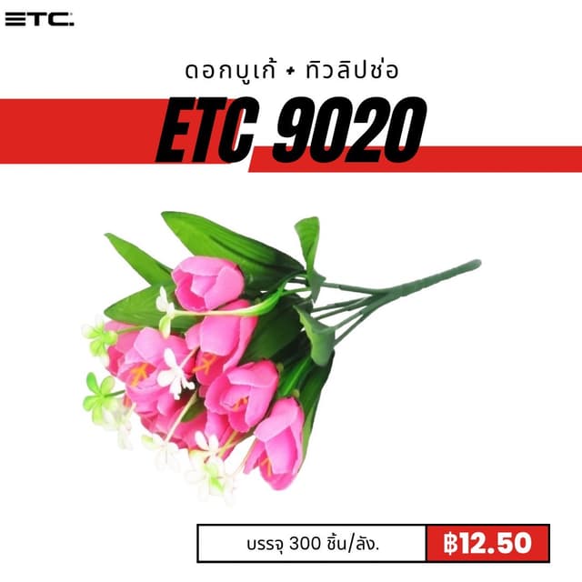 etc9020.jpg