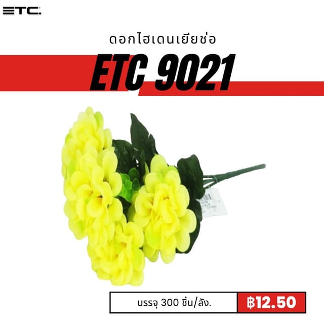 etc9021.jpg