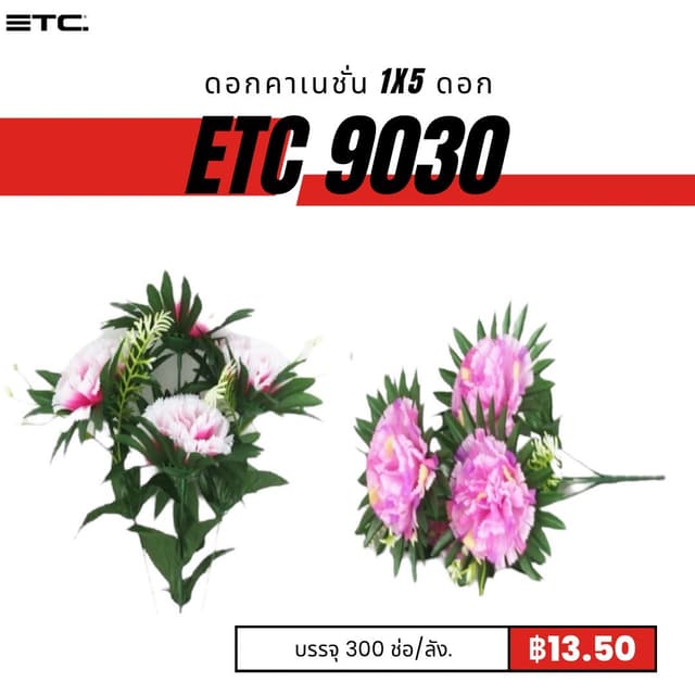 etc9030.jpg
