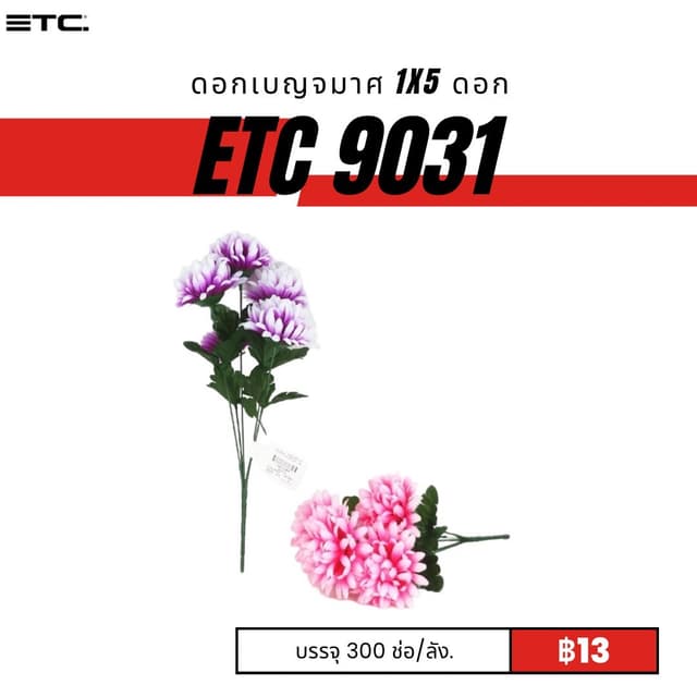etc9031.jpg