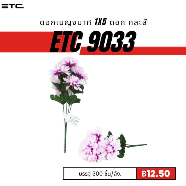 etc9033.jpg