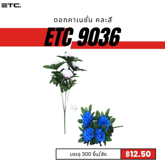 etc9036.jpg