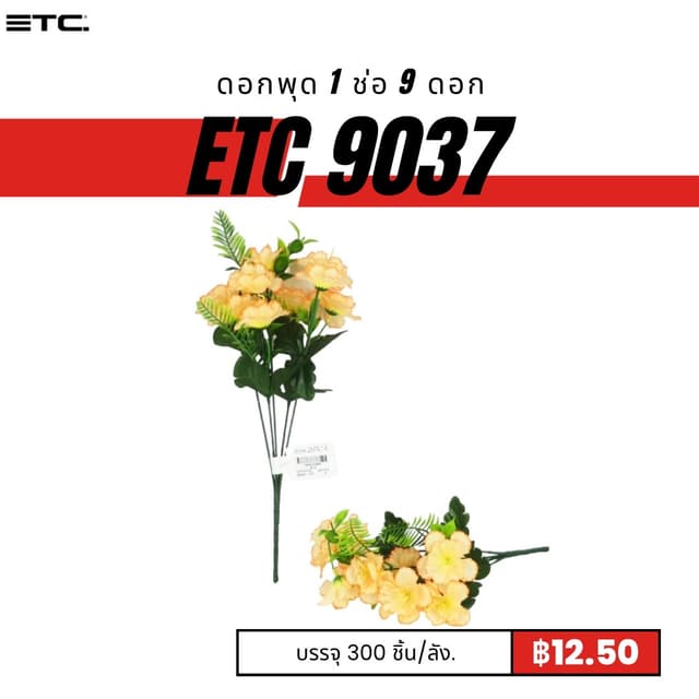 etc9037.jpg