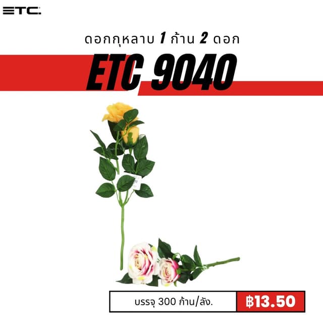 etc9040.jpg