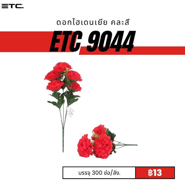etc9044.jpg