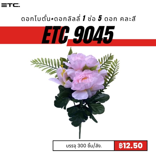 etc9045.jpg